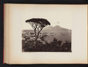 View of Naples, Italy, with a Pine Tree in the Foreground by Giorgio Sommer