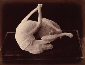 Cast, Pompeii, c. 1870 by Giorgio Sommer