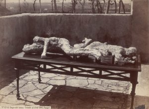 Human Casts, Pompeii by Giorgio Sommer
