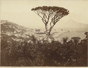 Naples, Panorama from Vomero by Giorgio Sommer