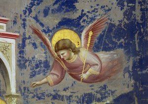 Angel, from the Presentation of Christ in the Temple, c.1305 (detail)