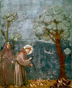 Episode of the life of Saint Francis of Assisi: The preaching to the birds by Giotto (c.1266 1337)
