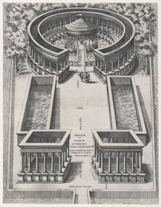 Speculum Romanae Magnificentiae: Ornithon Sive Aviarum by Giovanni Ambrogio Brambilla