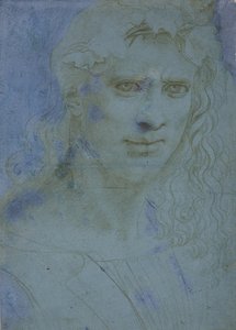Bust of young crowned with thorns and vine shoots by Giovanni Antonio Boltraffio