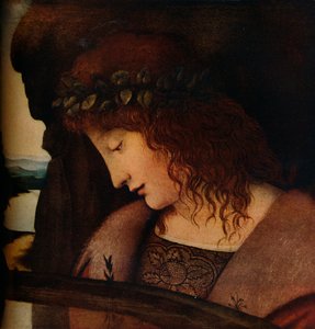 Narcissus