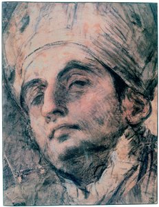 Portrait Study by Giovanni Antonio Pellegrini