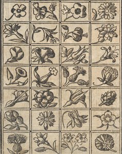 Example of Embroidery, page 10 verso, 1530 by Giovanni Antonio Tagliente