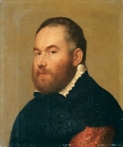 Portrait of a gentleman
