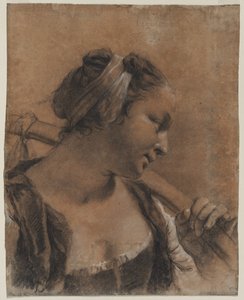 A Portrait of Rosa with a Shoulder Stick