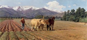 Ploughing by Giovanni Battista Quadrone