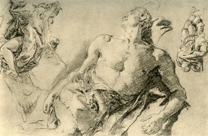 Detail Study for the Hyacinth in Bückeburg (detail) by Giovanni Battista Tiepolo