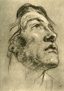Head of a Young Man, almost in profile and looking up