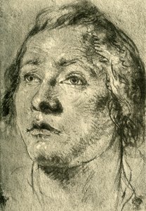 Head of a Young Man, mid 18th century