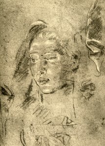 Head of a Young Woman
