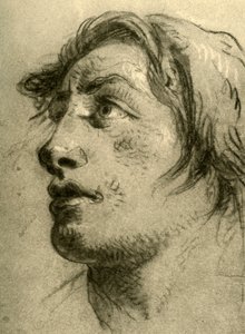 Head of a Youth, Almost in Profile and Looking Up