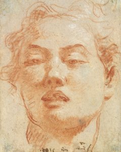 Head of a Young Man