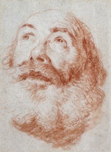 Head of an Old Man Looking Up by Giovanni Battista Tiepolo