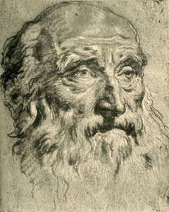 Head of an Old Man, Mid 18th Century by Giovanni Battista Tiepolo