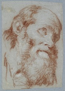 Head of an Old Bearded Man