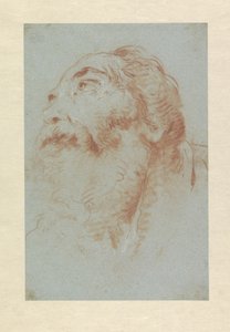 Head of an Old Man