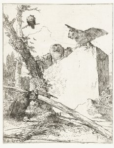 Title Print for Scherzi di Fantasia with Owls by a Stone (Scherzi di Fantasia)