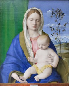 Madonna and Child by Giovanni Bellini