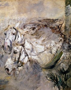 Two White Horses