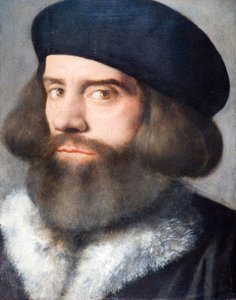 Head of a Bearded Man