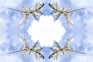 Unnatural 115 by Giovanni Cafagna