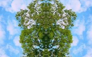Unnatural 46
