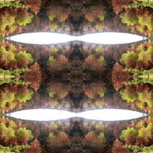 Unnatural 77.1