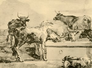 Cows Watering by Giovanni Domenico Tiepolo
