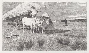 Oxen Yoked to a Cart (Maremma) by Giovanni Fattori