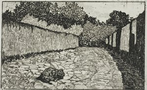 Small Street on the Outskirts of Florence with Puppy