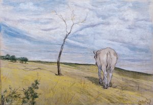 White Horse by Giovanni Fattori