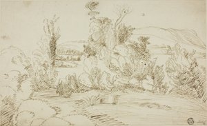 Grove of Trees with Hills in Distance