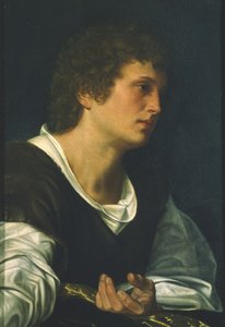 St. John the Evangelist by Giovanni Girolamo Savoldo
