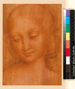 Head of a Woman
