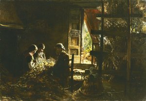Collecting the Cocoons