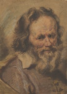 Head of a Bearded Man, 1600-1630