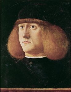 Portrait of a Young Man