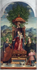 Madonna dell