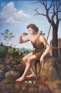 Saint John the Baptist by Giuliano Bugiardini