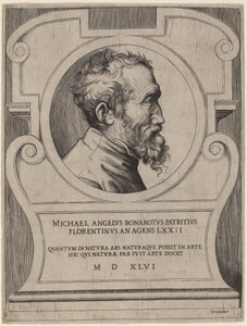 Michelangelo