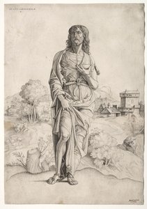 St. John the Baptist by Giulio Campagnola