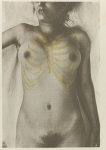 Anatomical Photo of a Female Corpse: 