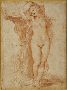 Andromeda chained to the rock