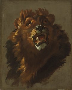 Lion by Giuseppe Baldrighi