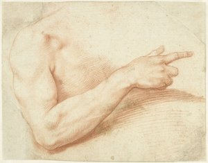 Study of an Arm by Giuseppe Cesari