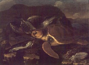 Still Life with a Fish and a Tortoise by Giuseppe Recco